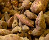 Acheter-patate-douce-Martinique