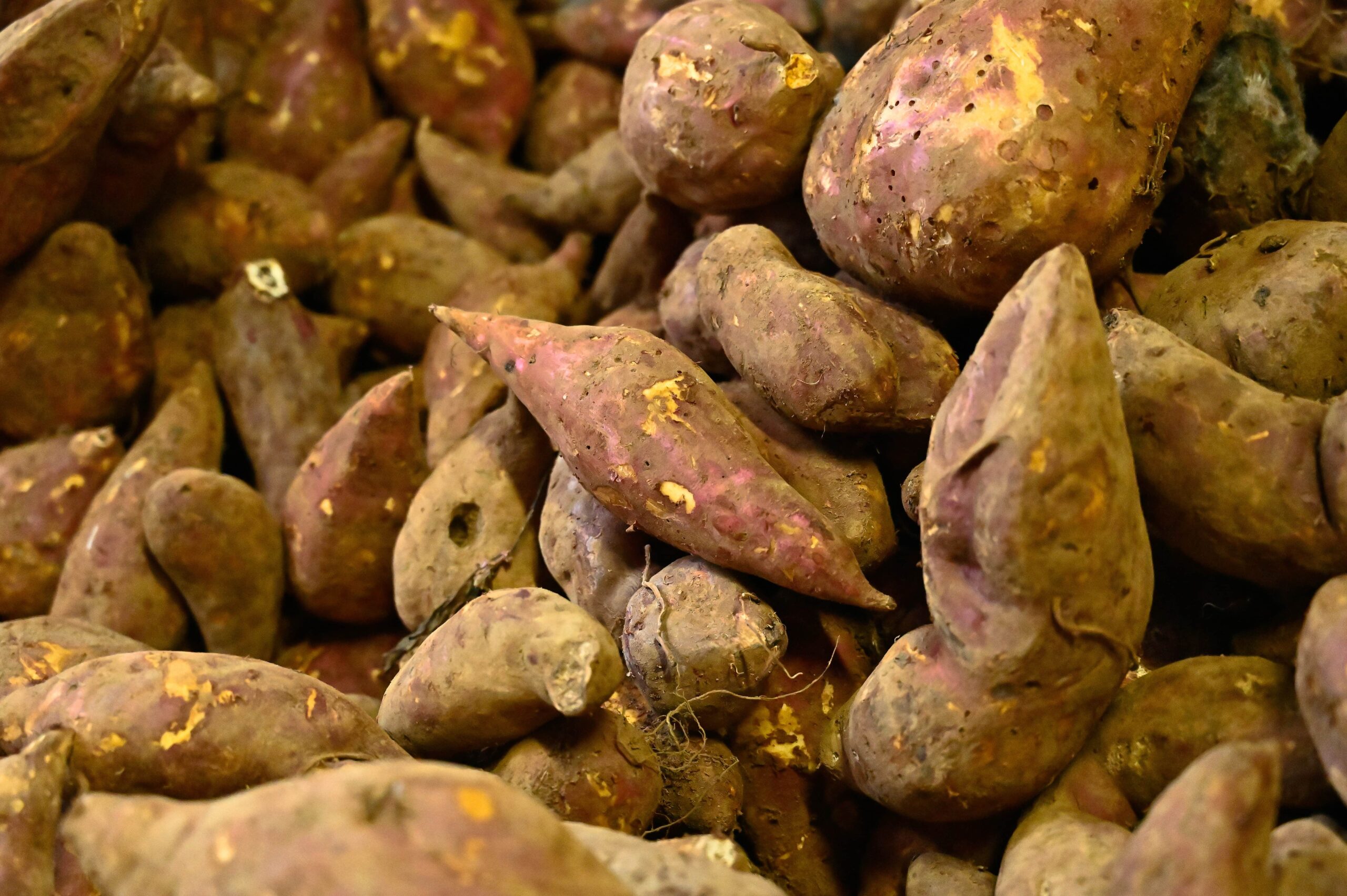 Acheter-patate-douce-Martinique