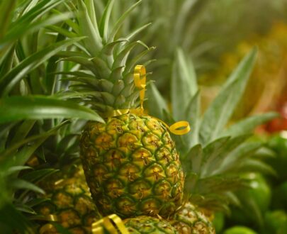 Ananas-trouver-en-Martinique