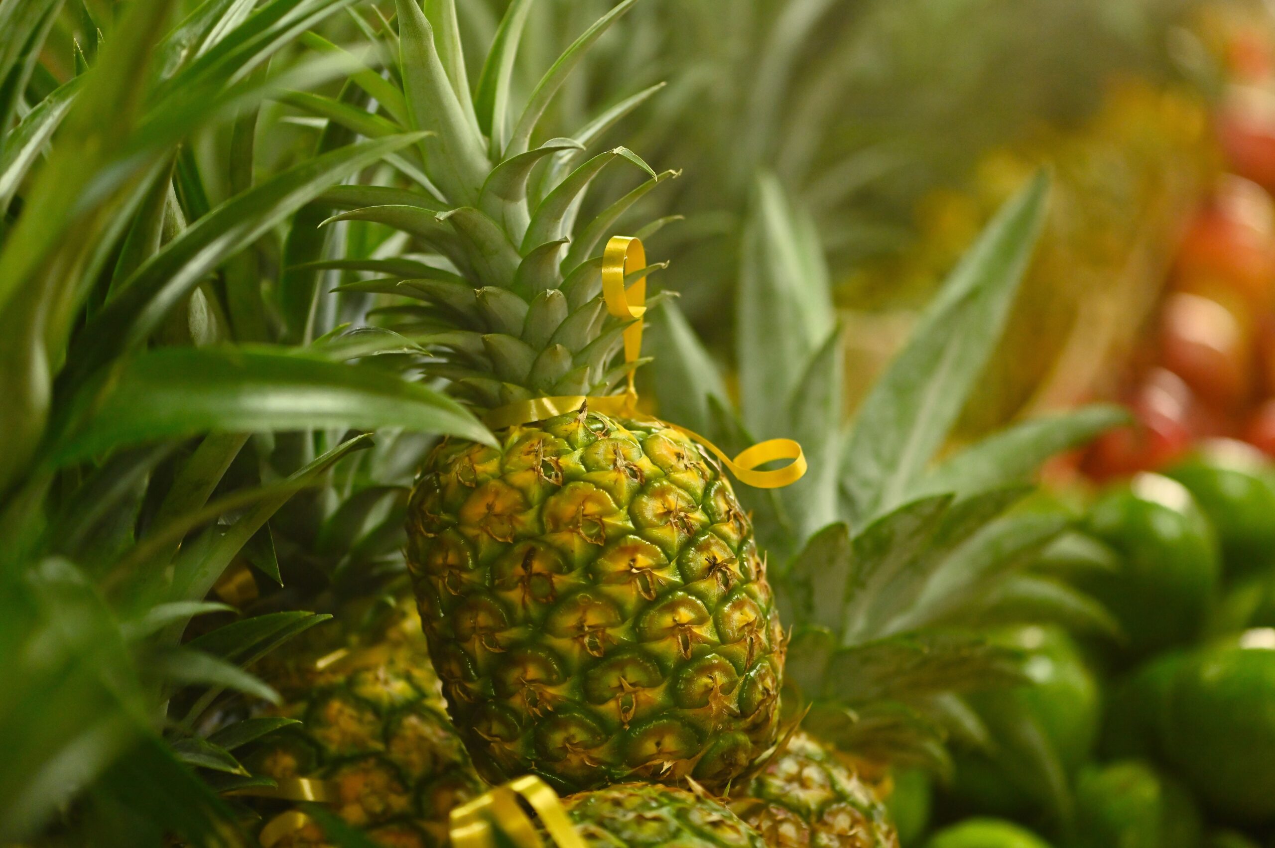 Ananas-trouver-en-Martinique