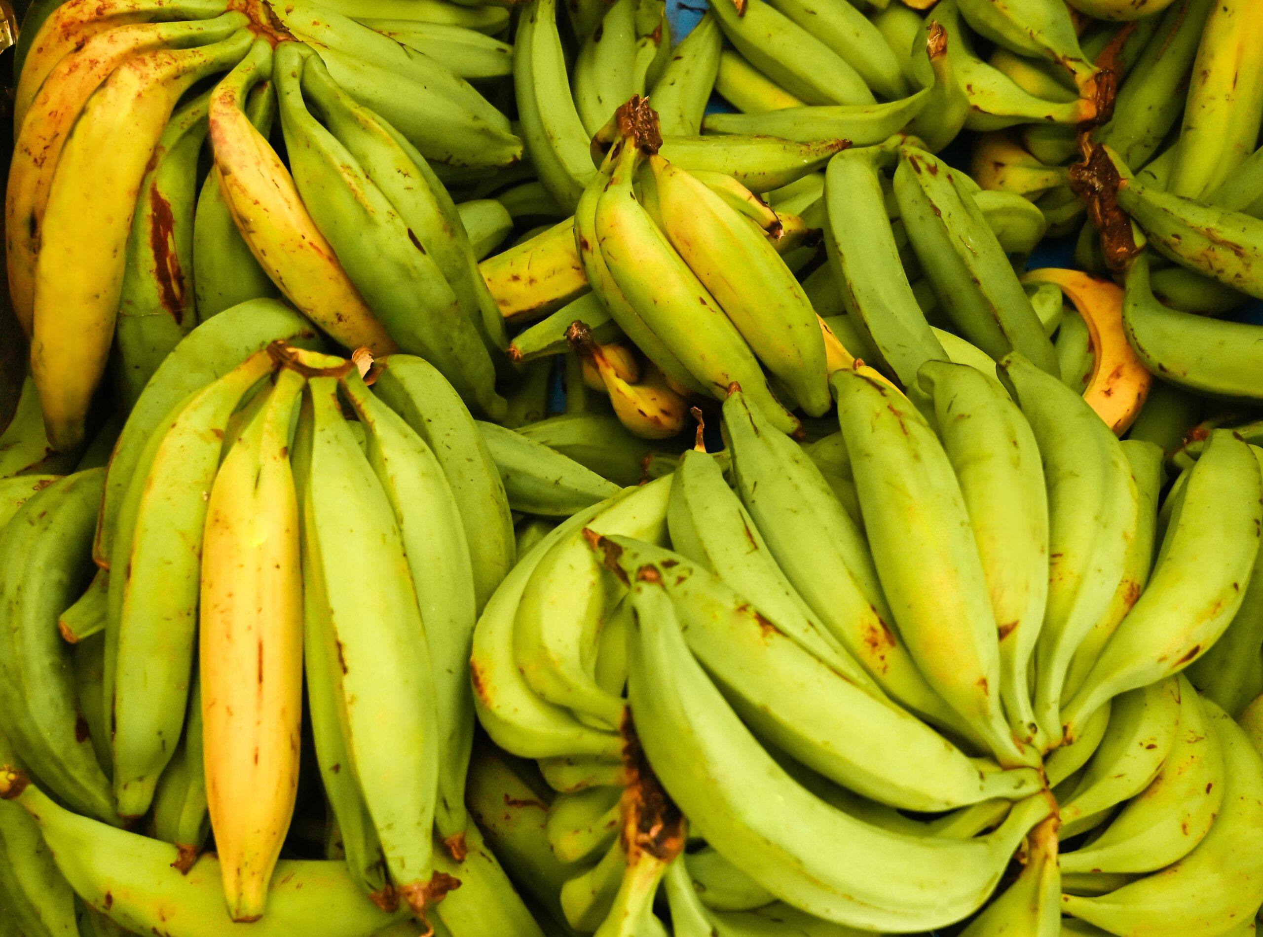 Banane-jaune-de-Martinique-vente-en-ligne