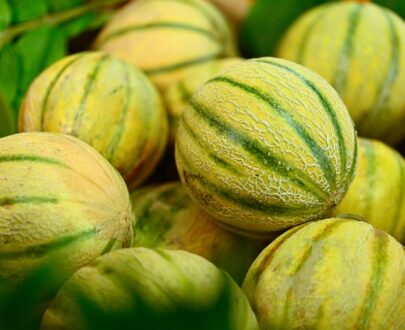 Melon-acheter-en-Martinique