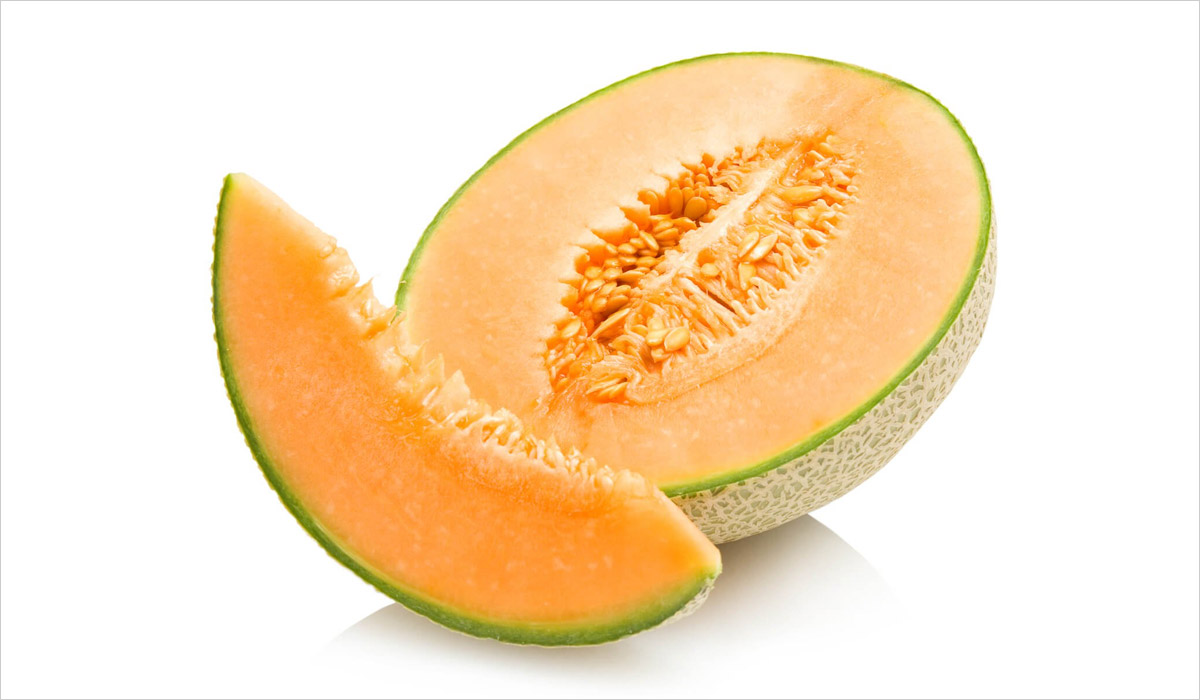 Melon - Frecinette