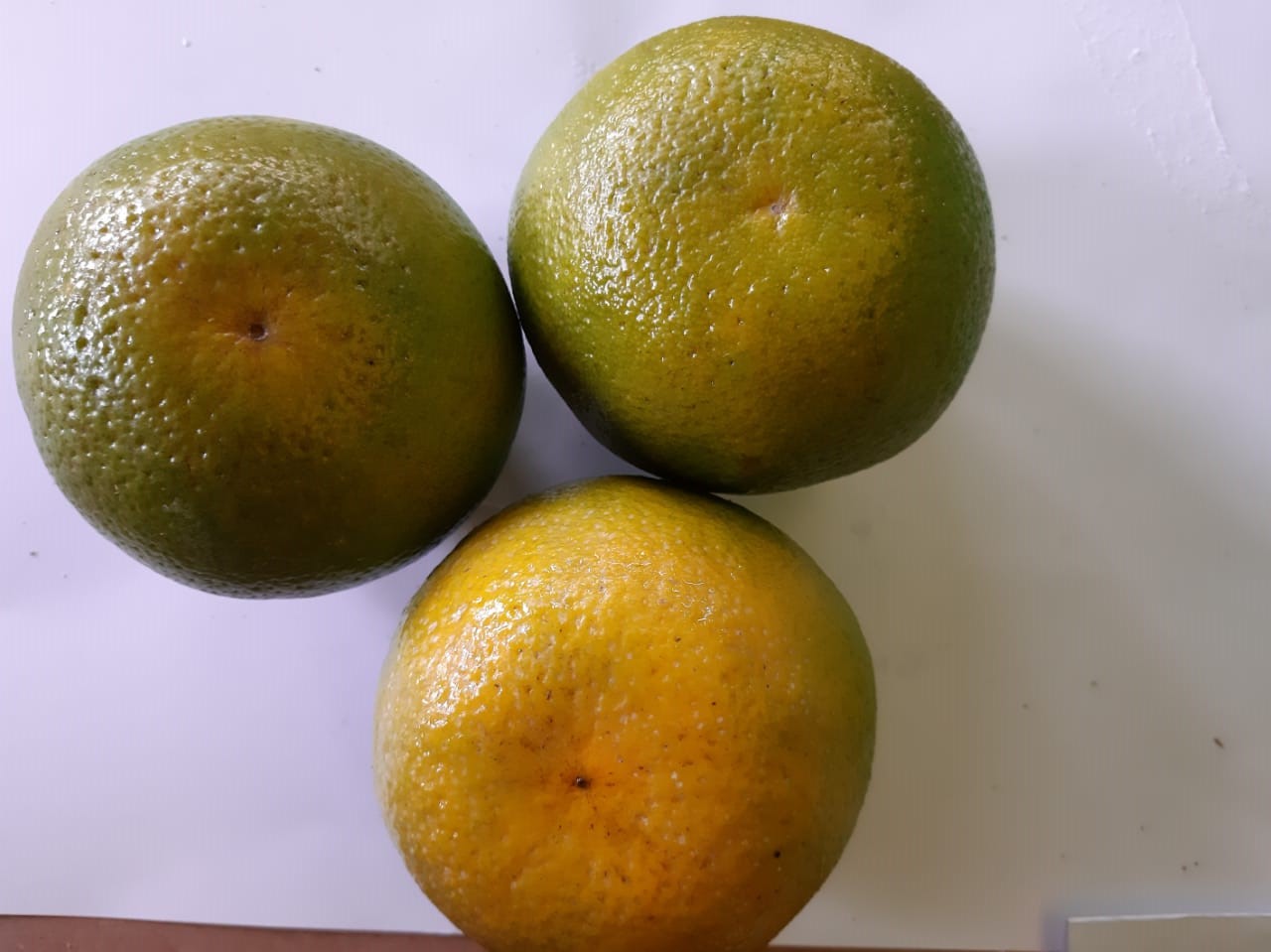 Citrons verts - Frecinette