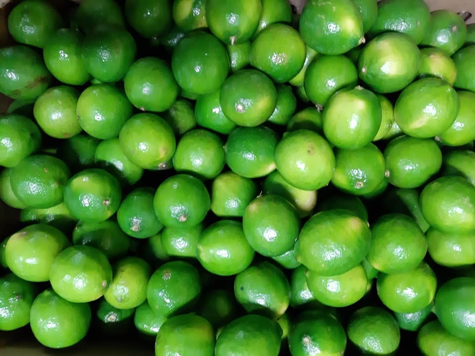 Citrons verts locaux - Frecinette