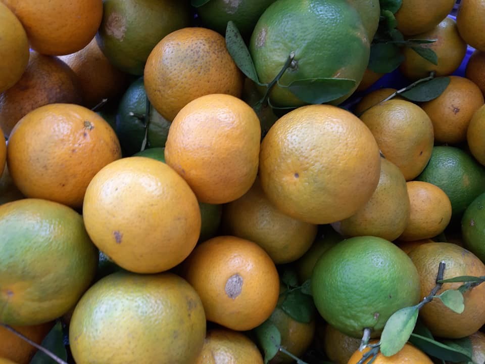 Mandarines locales - Frecinette