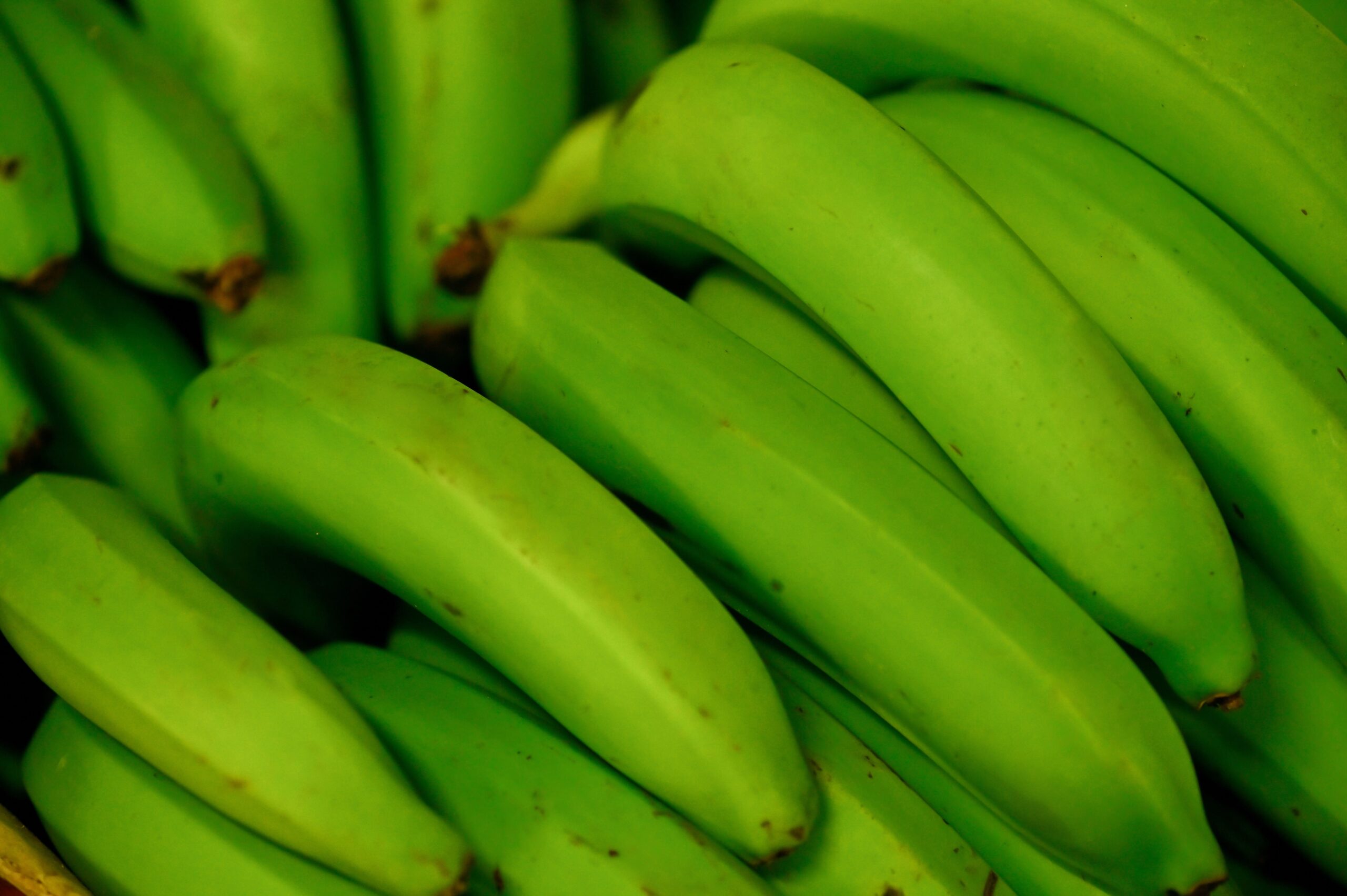 Banane-plantain-legume-a-vendre-Martinique