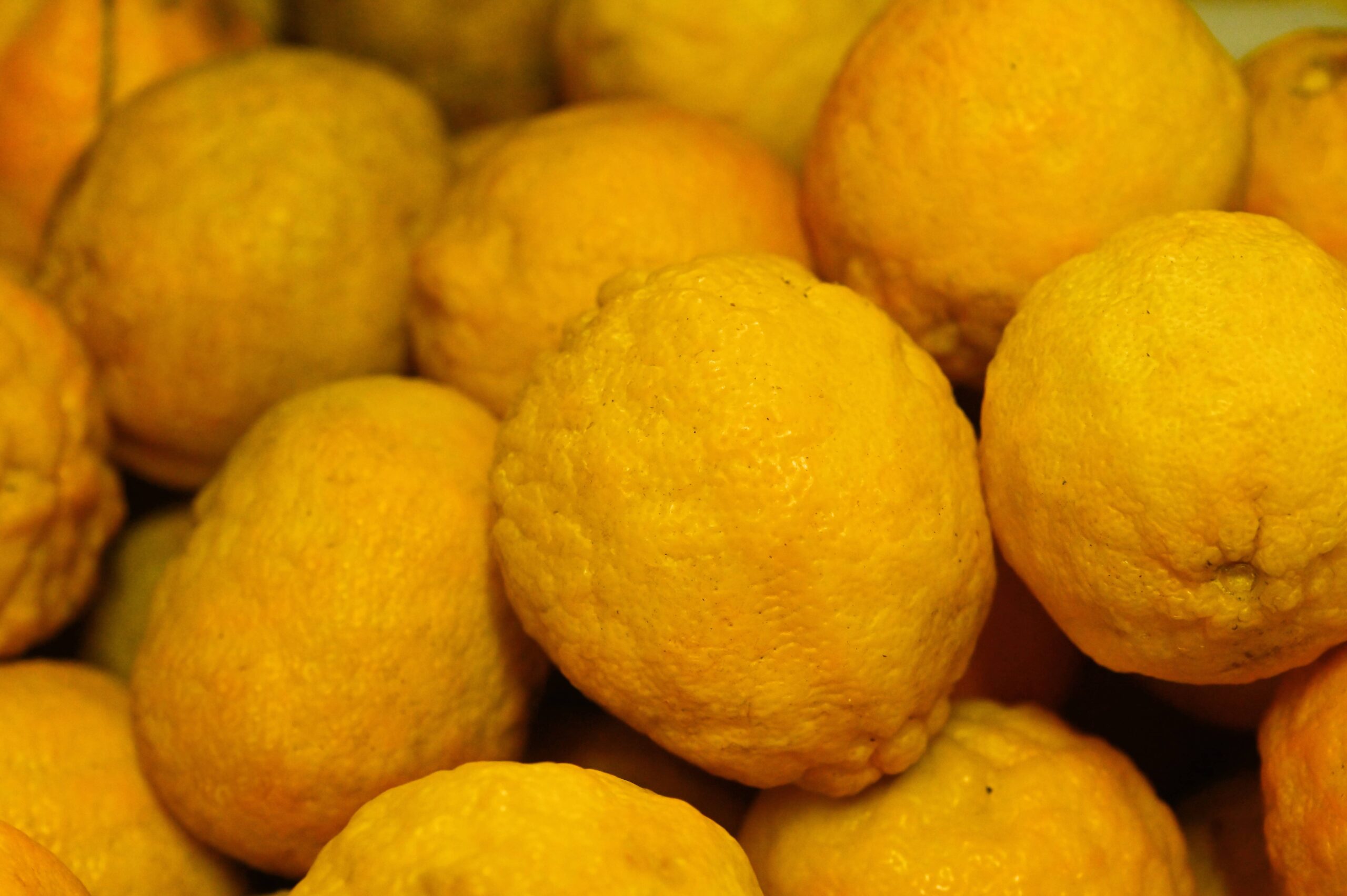Citron-acheter-Martinique