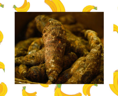 Manioc_frais_local_Martinique_en-ligne