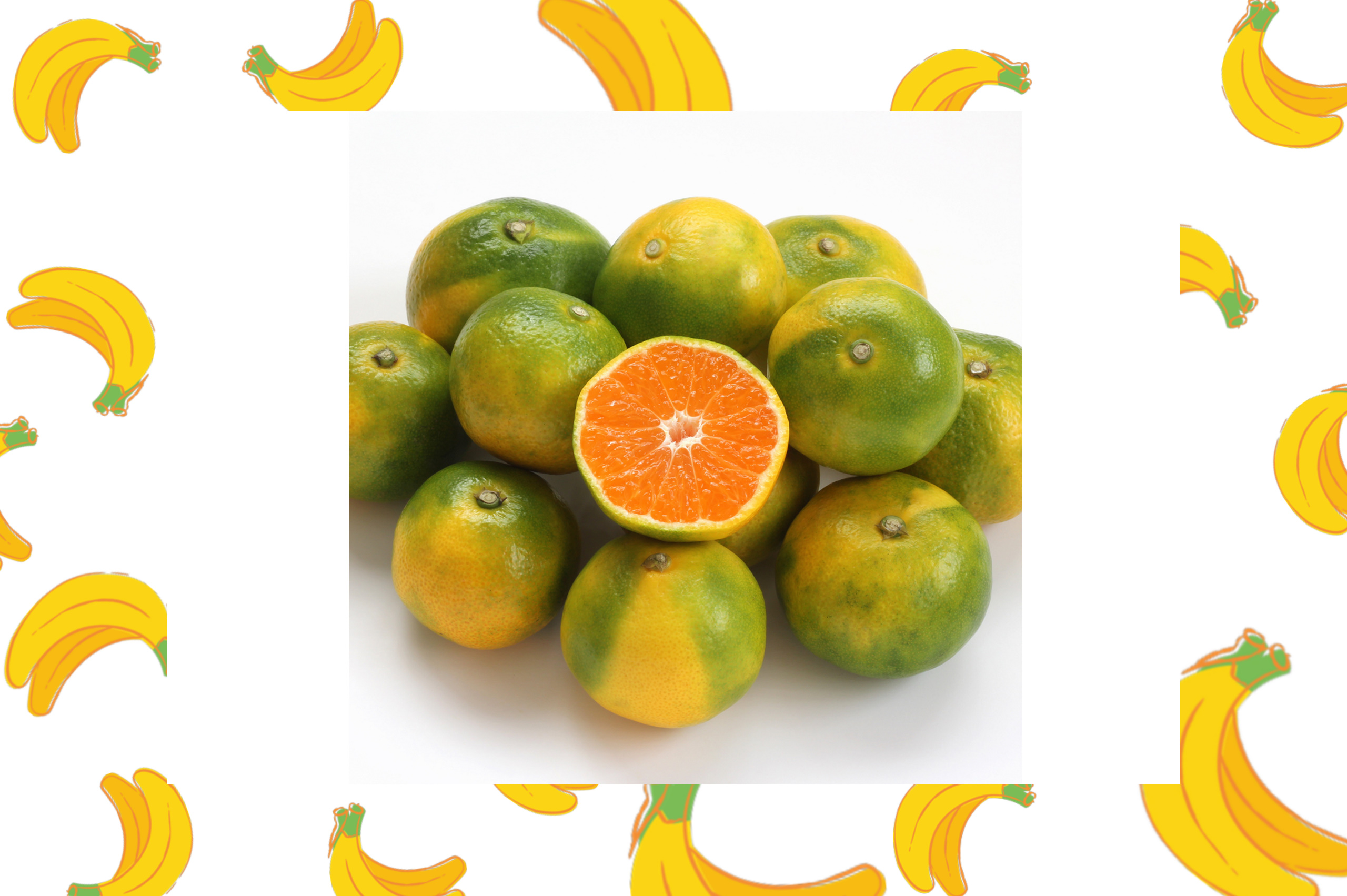 Oranges-locales-fraiche-de-Martinique-commander