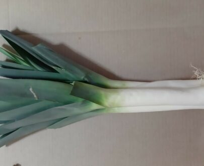 Poireaux - Frecinette