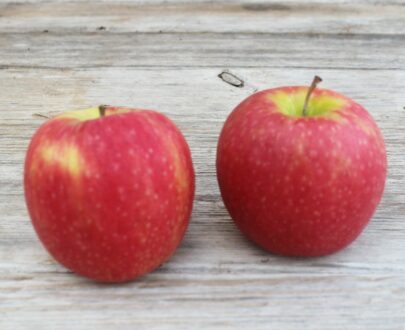 Pommes rouges - Frecinette