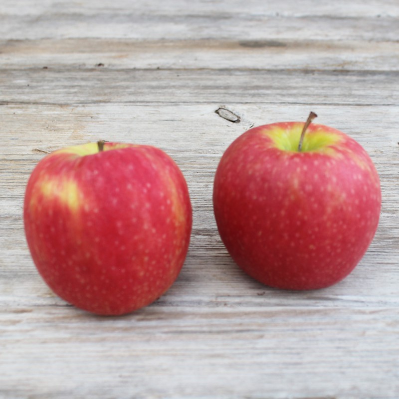 Pommes rouges - Frecinette