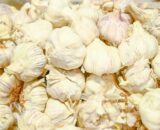 ail-en-vrac-vente-Martinique